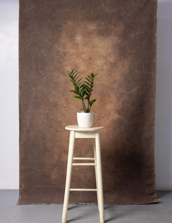 Otter Brown Painted Canvas Backdrop 4'8x8ft -RN#60(1)