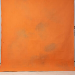 Papaya Orange Painted Canvas Backdrop RN#131-9X10(2)