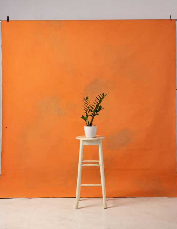 Papaya Orange Painted Canvas Backdrop RN#131-9X10(3)