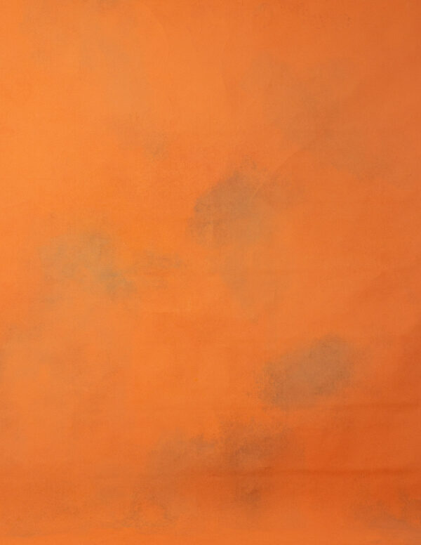 Papaya Orange Painted Canvas Backdrop RN#131-9X10(4)