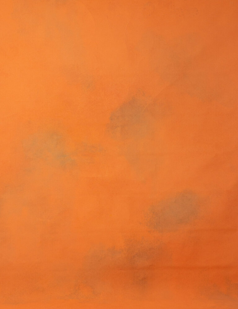 Papaya Orange Painted Canvas Backdrop RN#131-9X10(4)