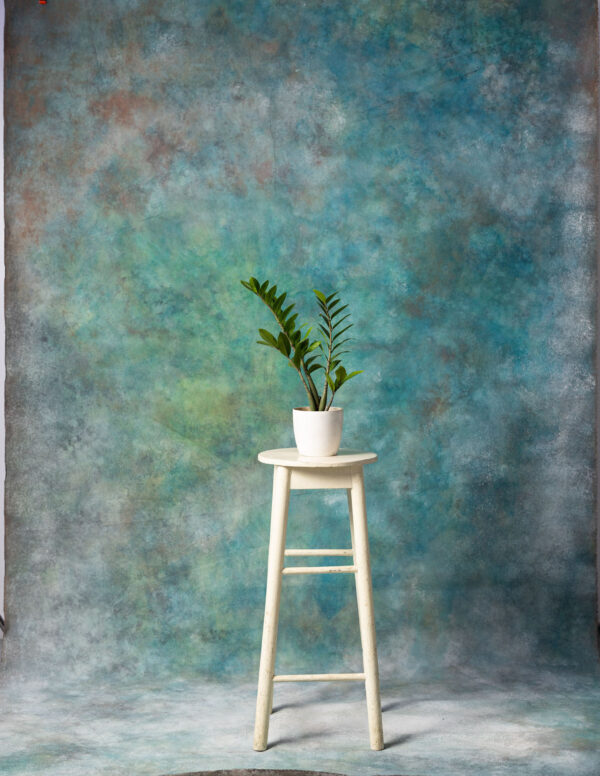 Plantation Painted Canvas Backdrop 6x12ft -RN#12(2)