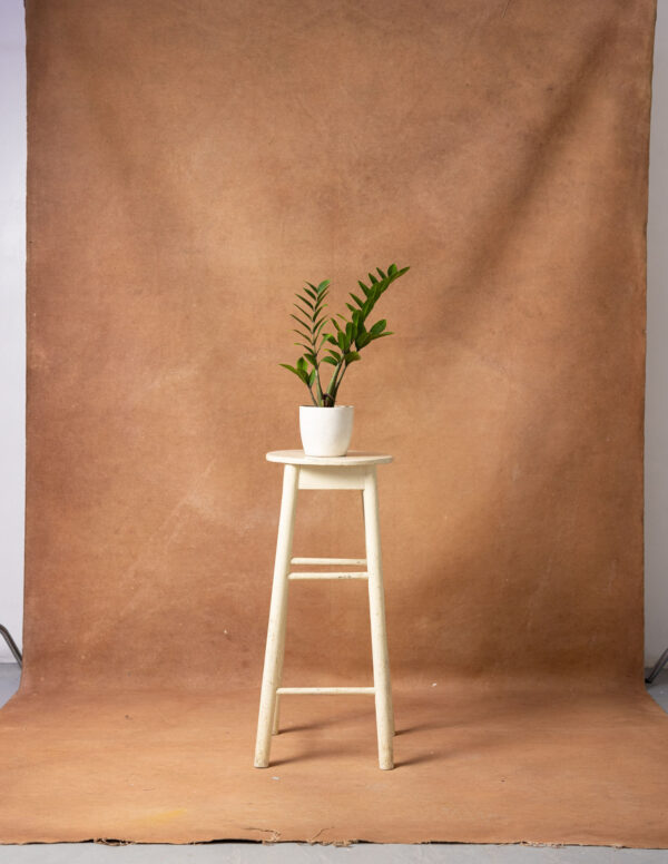 Potters Clay Painted Canvas Backdrop 8x13ft -RN#13 (2)