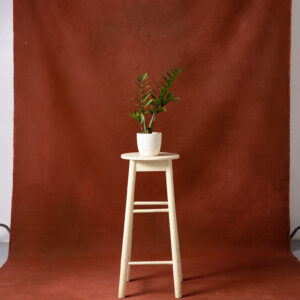 Redwood Painted Canvas Backdrop 8x14ft -RN#64(1)