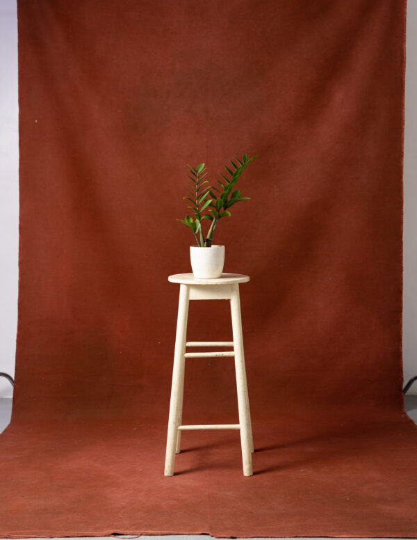 Redwood Painted Canvas Backdrop 8x14ft -RN#64(1)