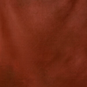 Redwood Painted Canvas Backdrop 8x14ft -RN#64(4)