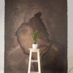Rose Ebony Painted Canvas Backdrop 7x10ft -SL#227(1)
