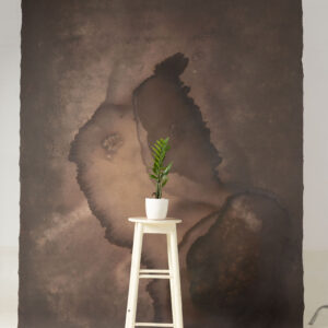 Rose Ebony Painted Canvas Backdrop 7x10ft -SL#227(1)