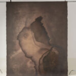 Rose Ebony Painted Canvas Backdrop 7x10ft -SL#227(2)