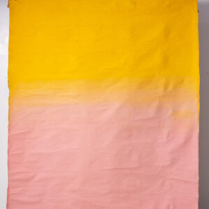 Saffron Painted Canvas Backdrop 6'8x7ft -RN#61 (1)