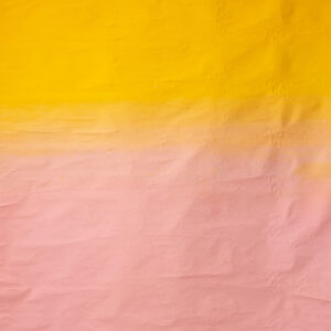 Saffron Painted Canvas Backdrop 6'8x7ft -RN#61 (4)