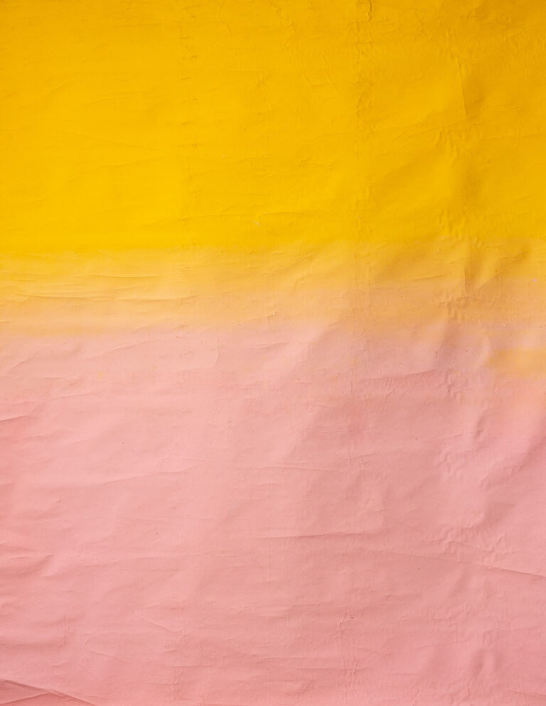 Saffron Painted Canvas Backdrop 6'8x7ft -RN#61 (4)