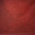 Terracotta Painted Canvas Backdrop 9x10ft -RN#125(2)
