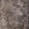 Treeback Painted Canvas Backdrop 5x7ft -RN#04(4)