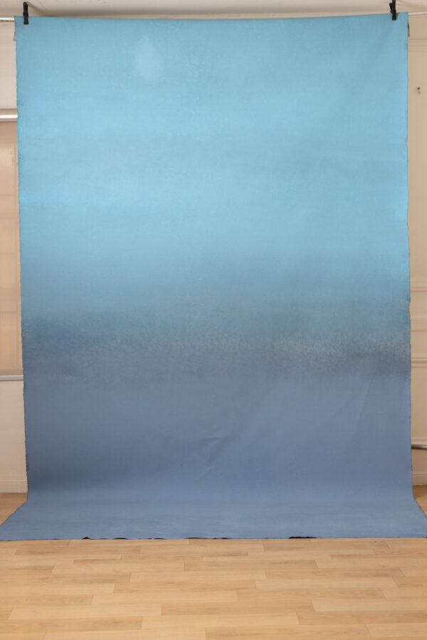 Blue Yonder Painted Canvas Backdrop (RN#252)(3)