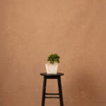 Brown Rust Painted Canvas Backdrop (RN#251)(1)