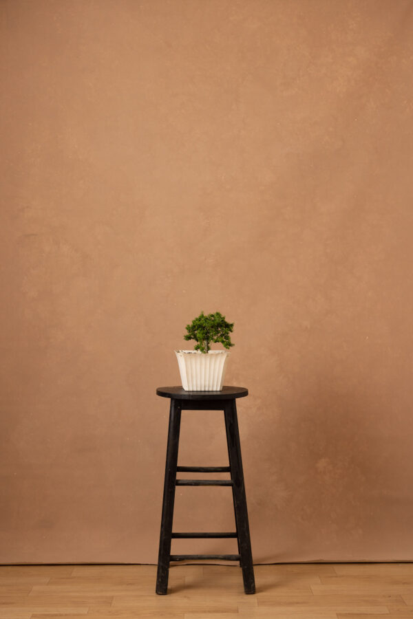 Brown Rust Painted Canvas Backdrop (RN#251)(1)