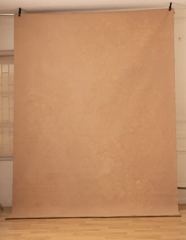 Brown Rust Painted Canvas Backdrop (RN#251)(2)