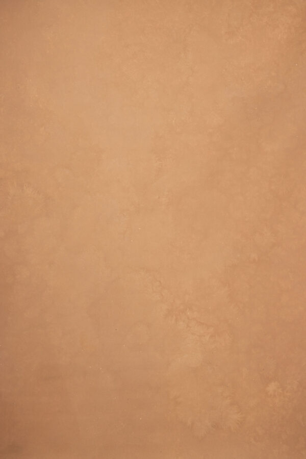 Brown Rust Painted Canvas Backdrop (RN#251)(3)