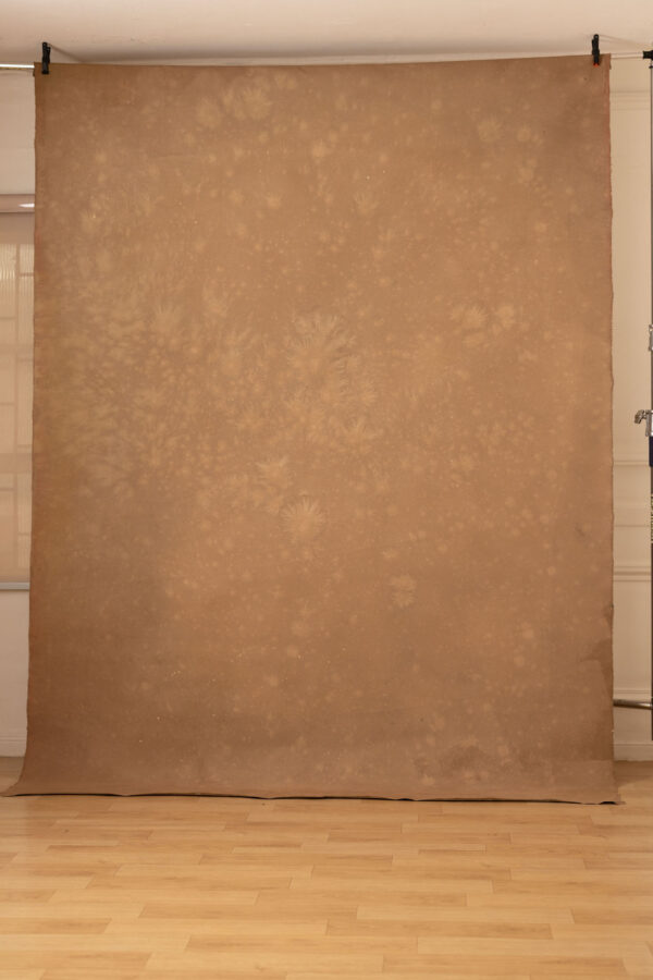 Bullet Shell Painted Canvas Backdrop (RN#250)(2)