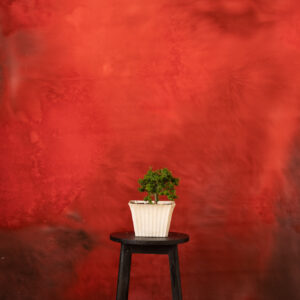 Persian Red Painted Canvas Backdrop (RN#253)(2)
