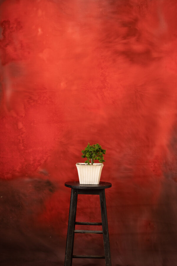 Persian Red Painted Canvas Backdrop (RN#253)(2)