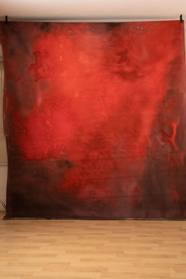 Persian Red Painted Canvas Backdrop (RN#253)(3)