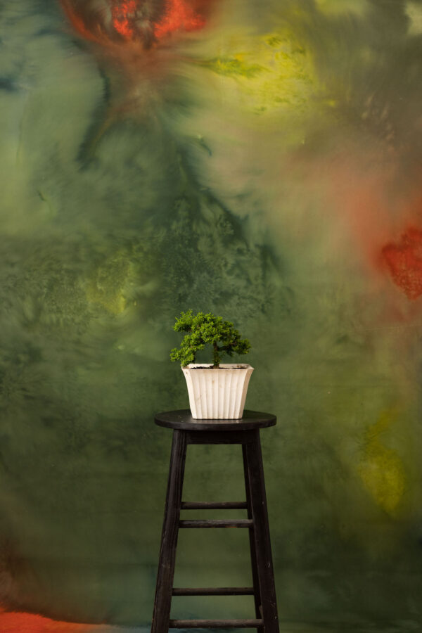 Swamp Painted Canvas Backdrop (RN#257)