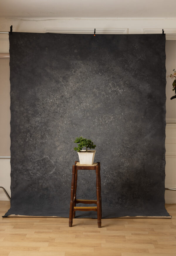 Ironside Painted Canvas Backdrop (RN#271) - 1