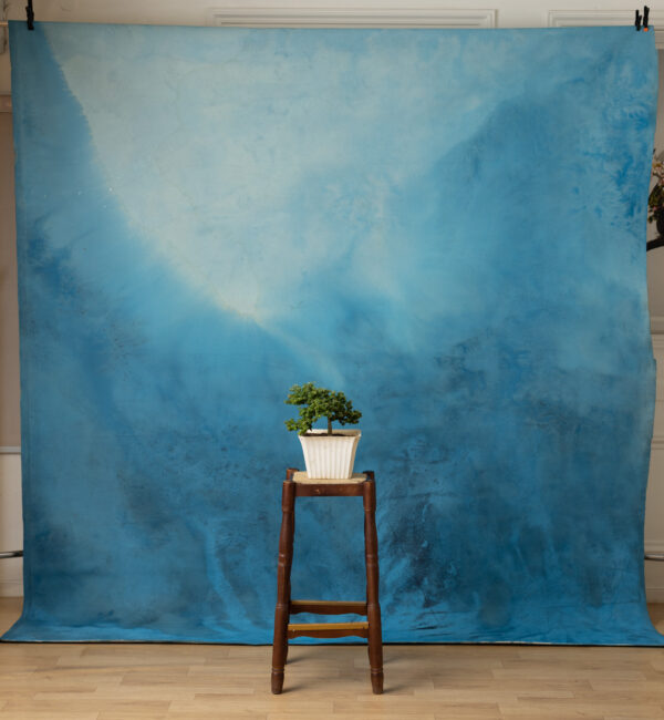 Blue Dianne Painted Canvas Backdrop (RN#268)