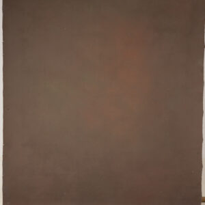 Brown Finch Painted Canvas Backdrop (RN#242)