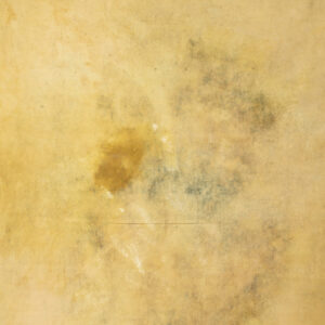 Camel Grunge Painted Canvas Backdrop (DB#41)