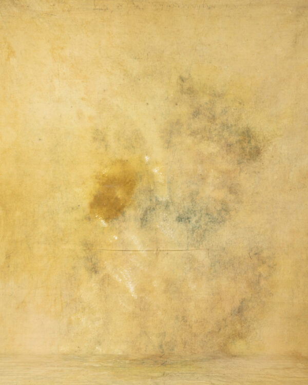 Camel Grunge Painted Canvas Backdrop (DB#41)