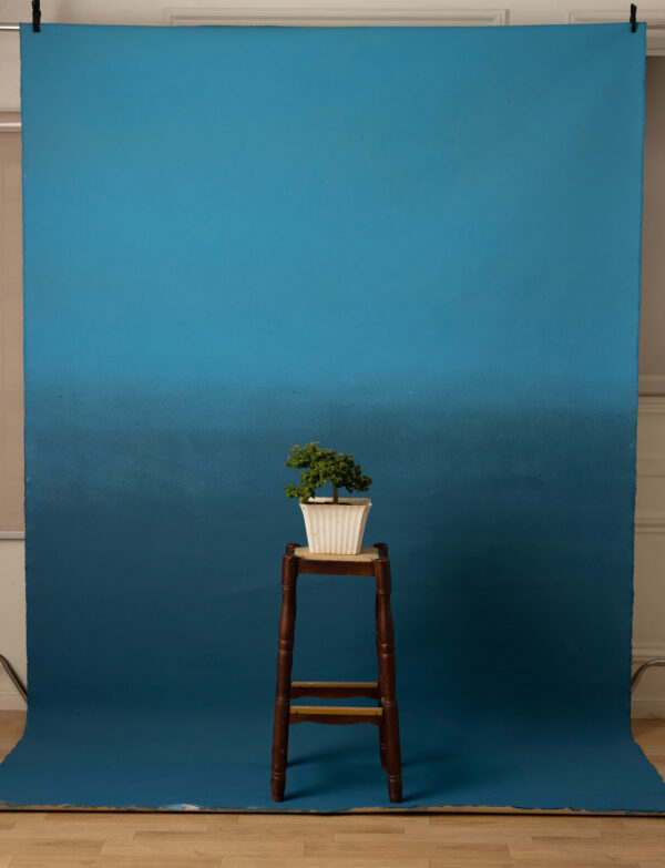 Casal Gradient Painted Canvas Backdrop (RN#266)