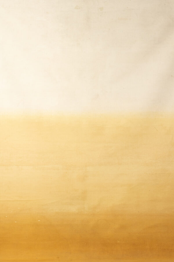 Chardonnay Gradient Painted Canvas Backdrop (DB#75)