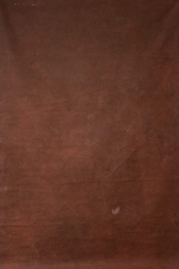 Cherrywood Painted Canvas Backdrop (DB#56)