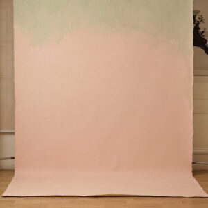 Clam Shell Painted Canvas Backdrop (RN#302)