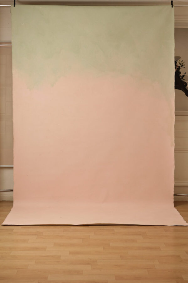 Clam Shell Painted Canvas Backdrop (RN#302)