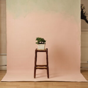 Clam Shell Painted Canvas Backdrop (RN#302)