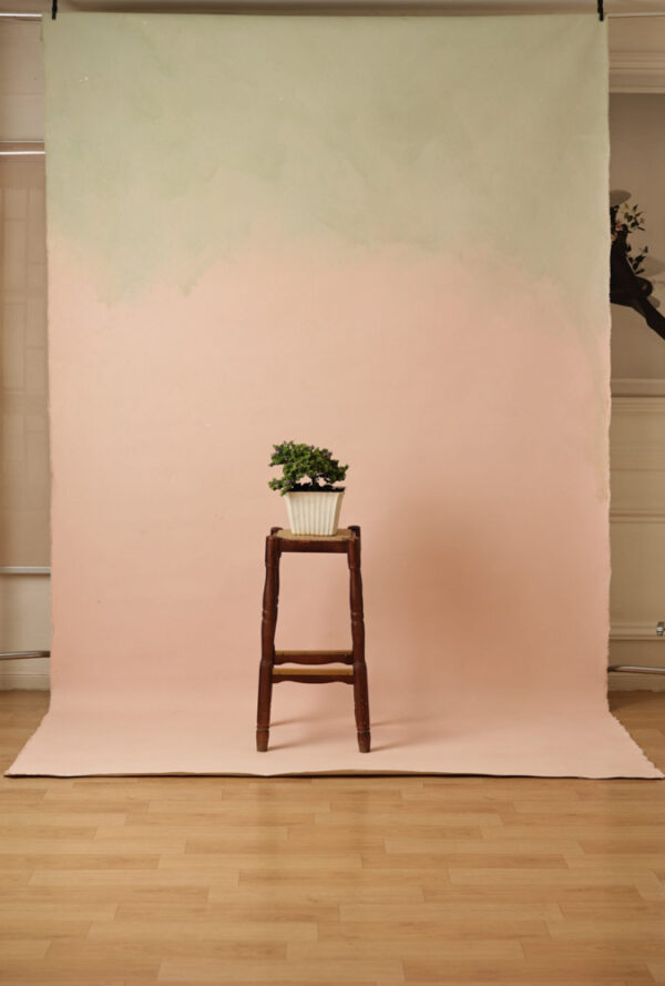 Clam Shell Painted Canvas Backdrop (RN#302)