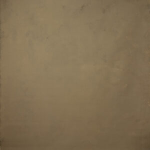 Clay Light Painted Canvas Backdrop (SL#265)