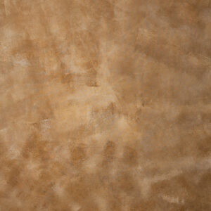 Driftwood Painted Canvas Backdrop (DB#140)