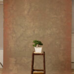 Dull brown Painted Canvas Backdrop (RN#272)