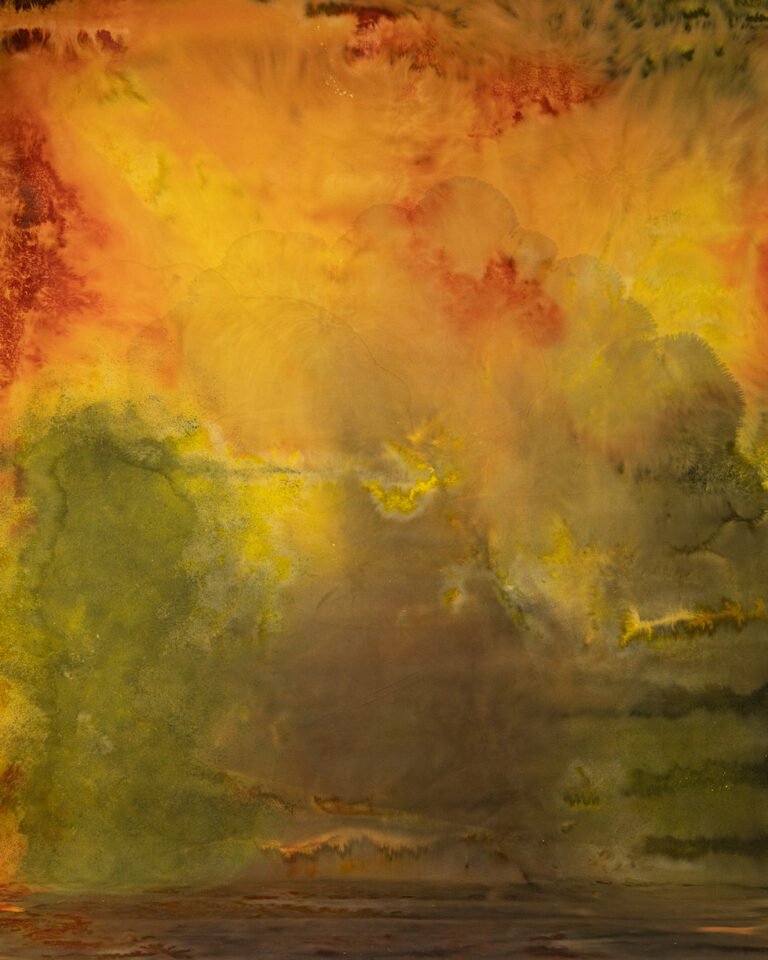 Fire Bush Painted Canvas Backdrop (DB#191)