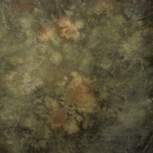 Forest Brown Painted Canvas Backdrop (DB#142)