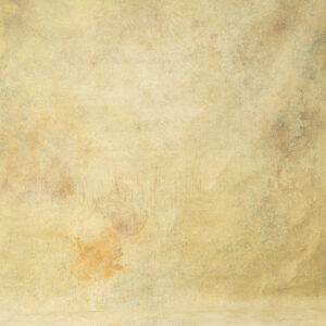 Harvest Gold Painted Canvas Backdrop (DB#74)