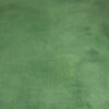Highland Green Painted Canvas Backdrop (DB#200)