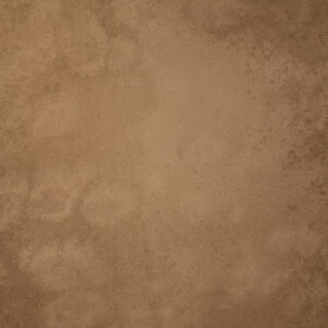 Ironstone Painted Canvas Backdrop (DB#133)