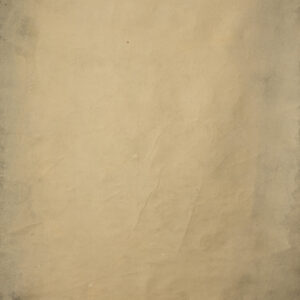 Khaki Painted Canvas Backdrop (DB#161)