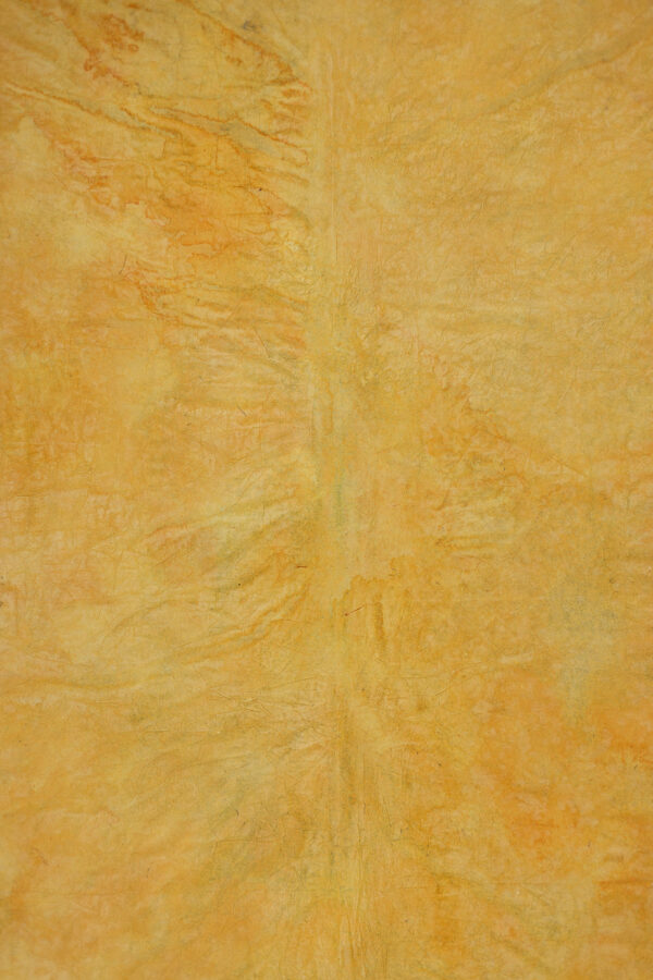 Mac And Cheese Painted Canvas Backdrop (DB#45)